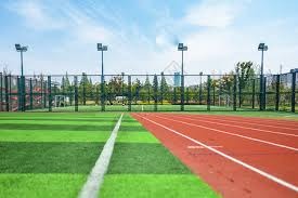 称霸力量举重亚洲赛另辟蹊径 罗镇濠蛇来运转